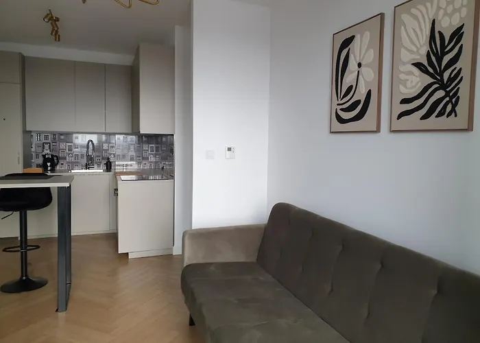 W Centrum Wroclawia Odra Tower Breslavia